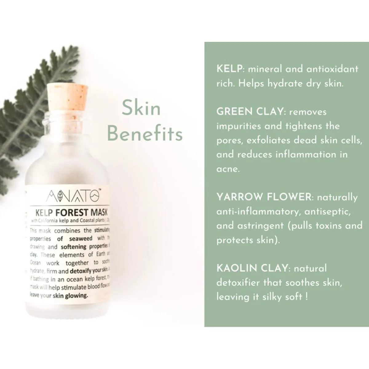 Anato Face Mask - Kelp Forest, 20 gm | KFFM20G