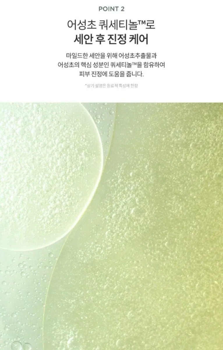 ANUA Heartleaf Quercetinol Pore Deep Cleansing Foam 150ml