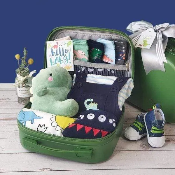 Baby Dinosaur Era Gift Set