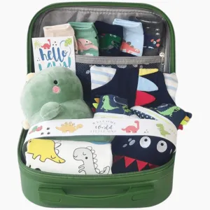 Baby Dinosaur Era Gift Set