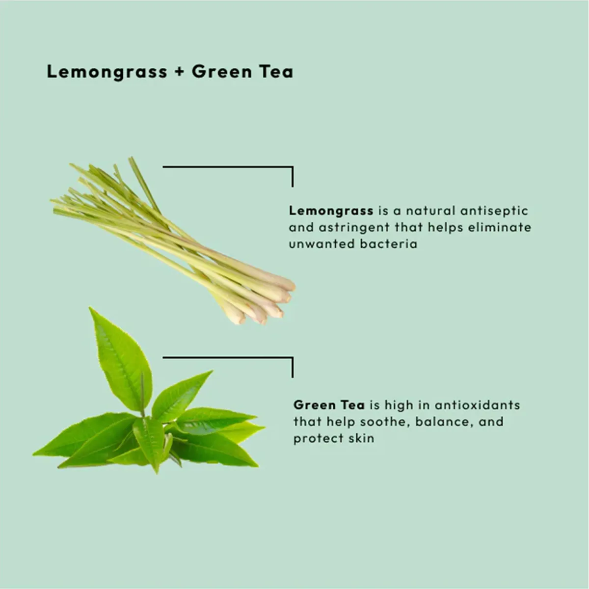 BCL Spa Organics 16oz Lemongrass   Green Tea - Cream