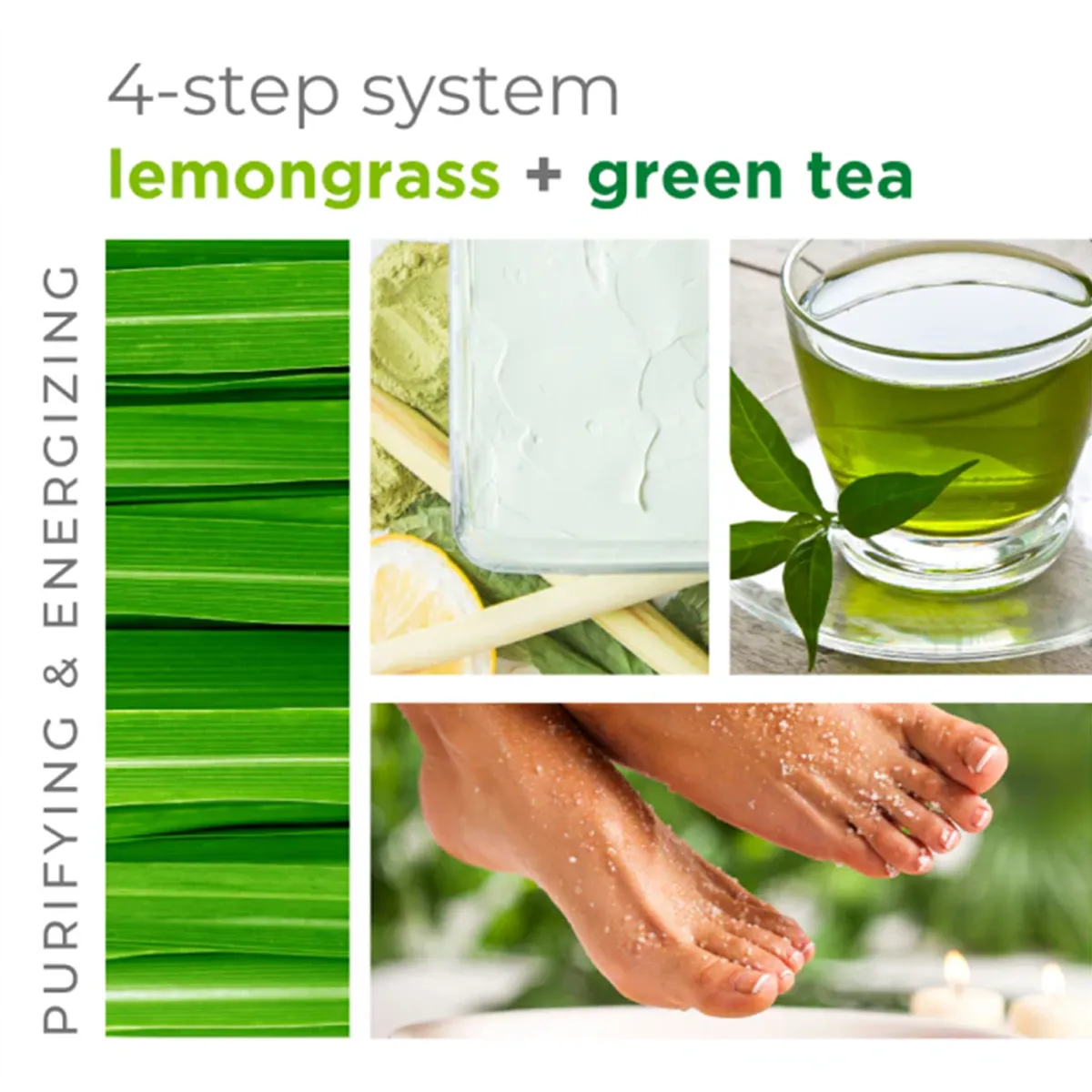 BCL Spa Organics 16oz Lemongrass   Green Tea - Cream