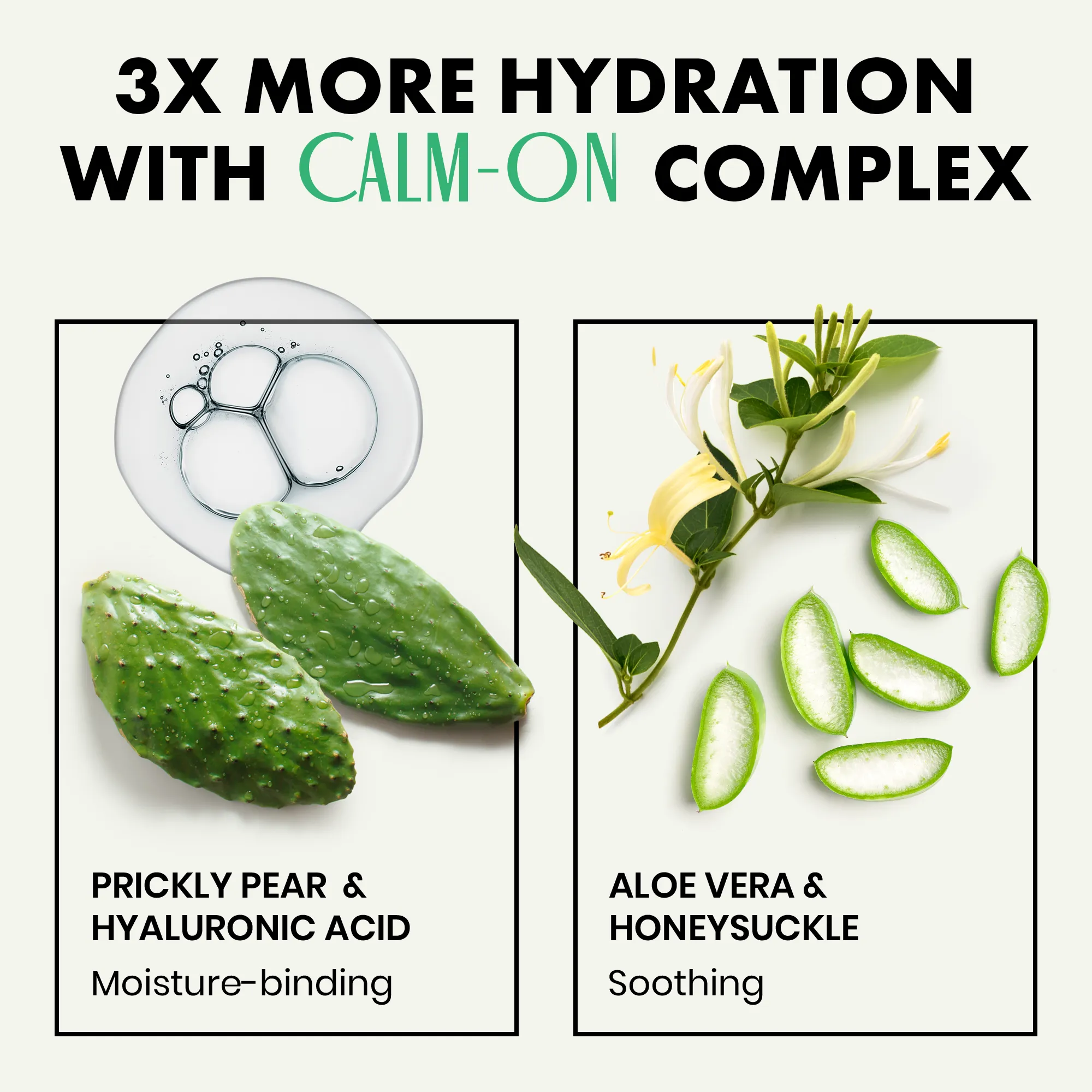 Cactus Water Toner