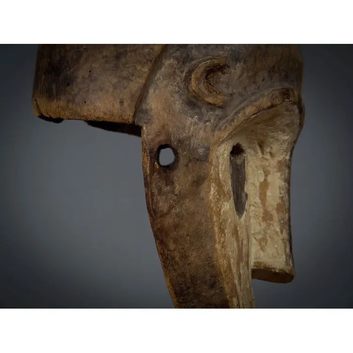 Fang Ngil Mask, Gabon #309