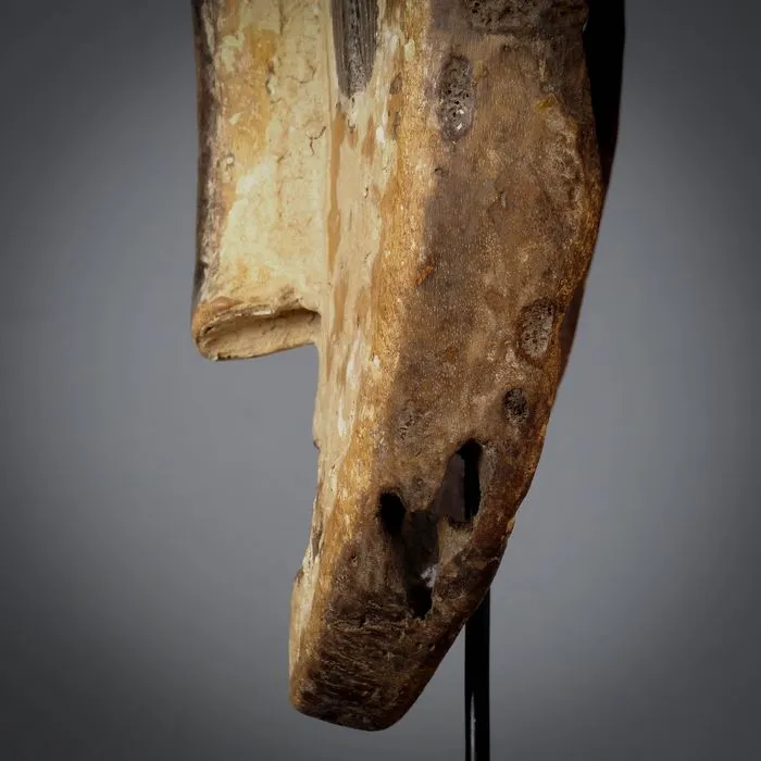 Fang Ngil Mask, Gabon #309