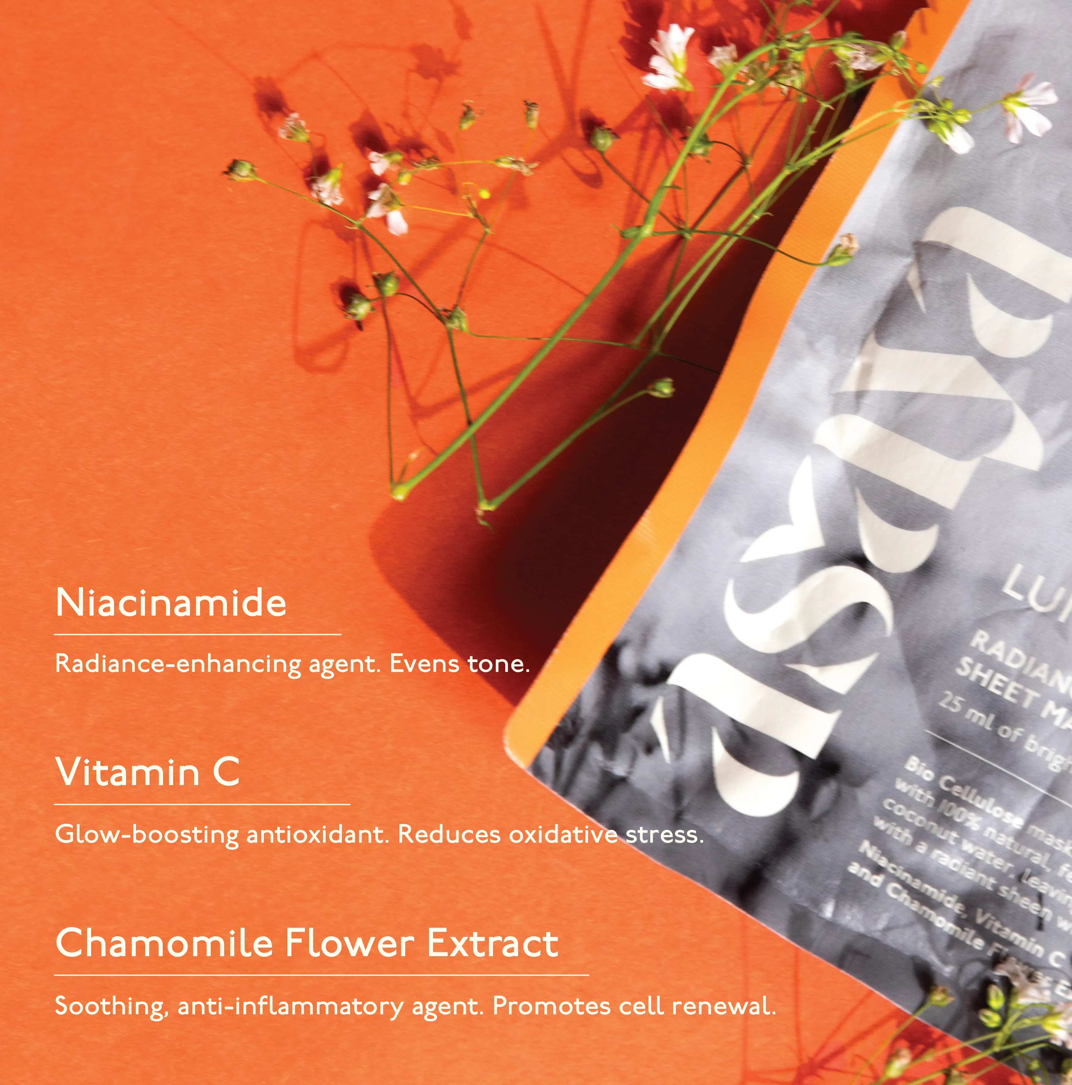 Home Spa Sheet Mask Set