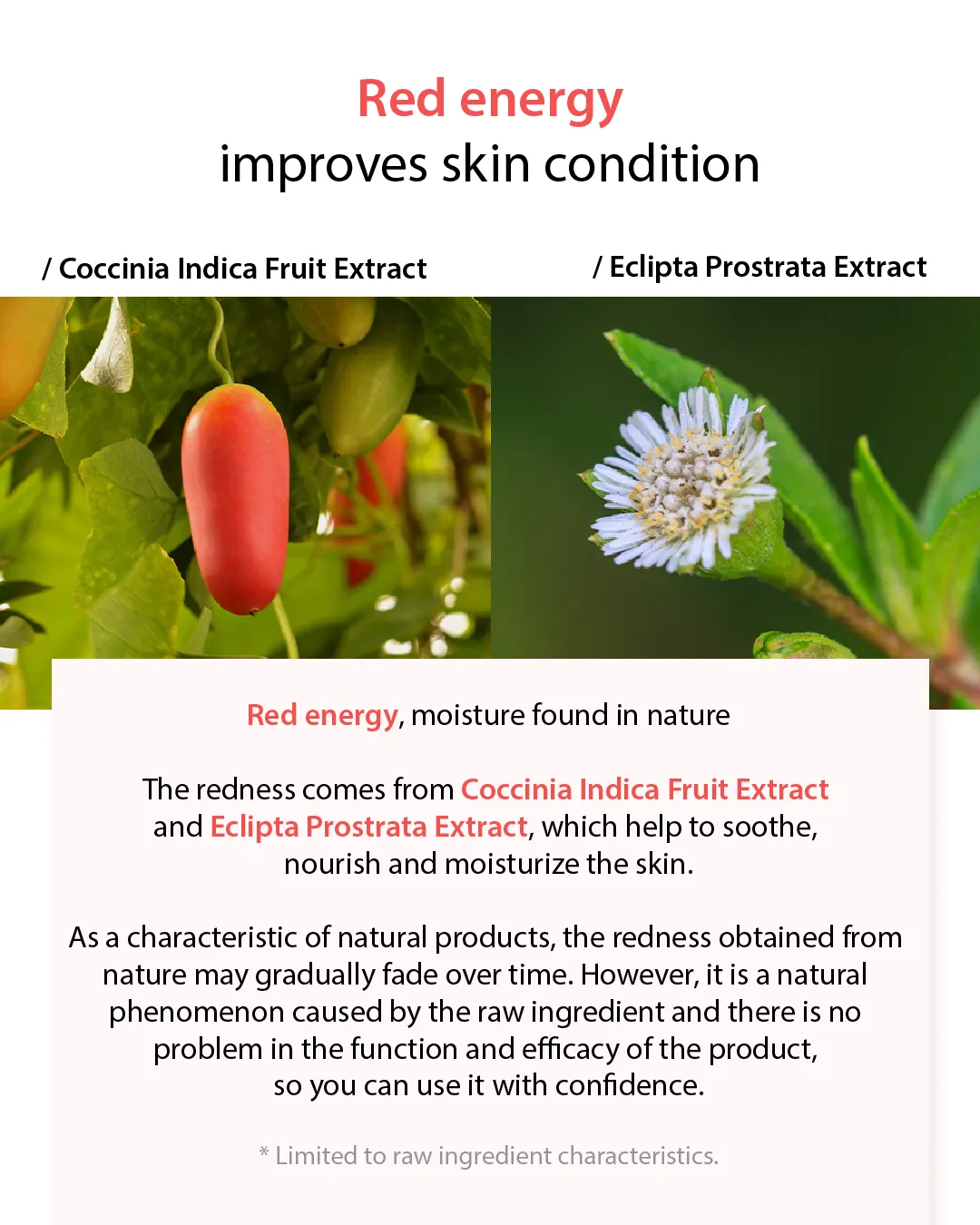 Lavien Kombu Biome Deep Hydra Calming Ampoule