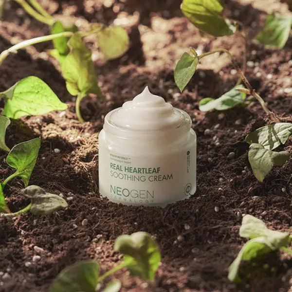 NEOGEN Real Heartleaf Soothing Cream 80g