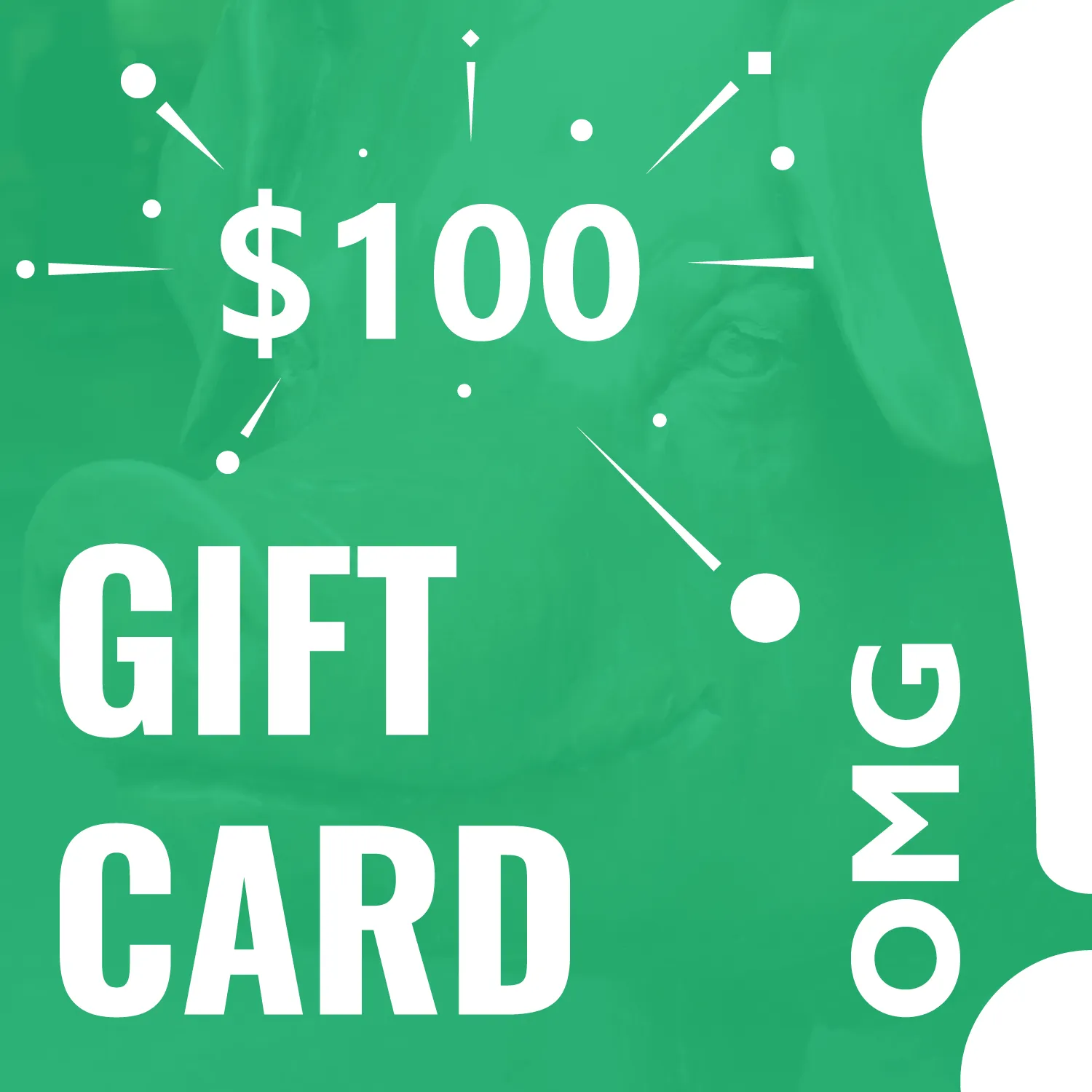 OMG! Olive Oils & Vinegar Gift Card