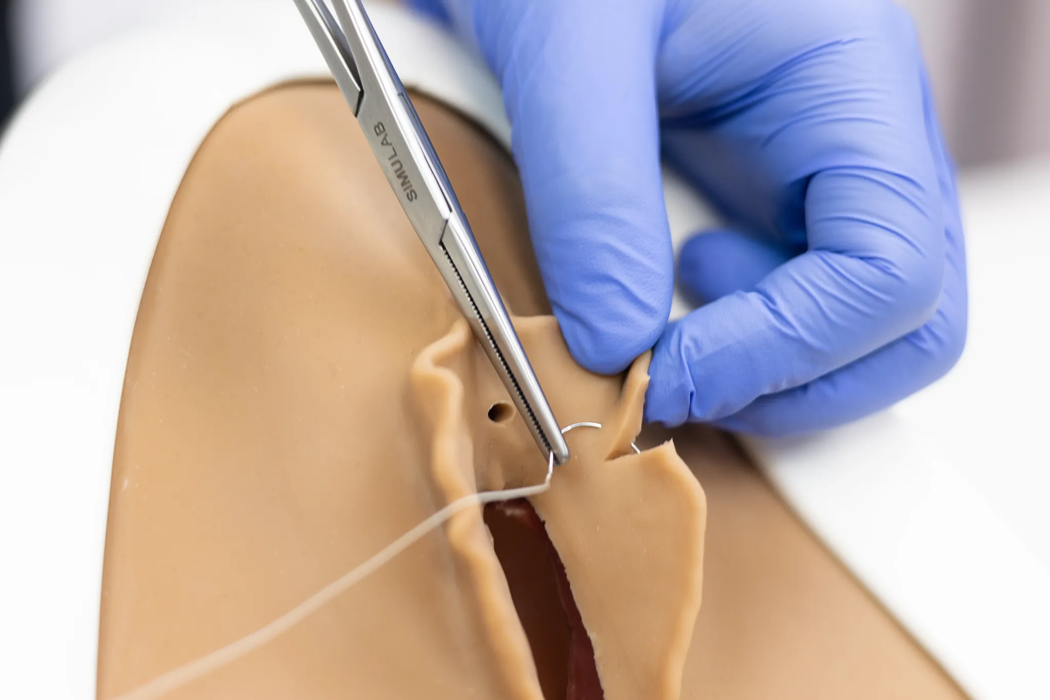 Perineal Repair Trainer