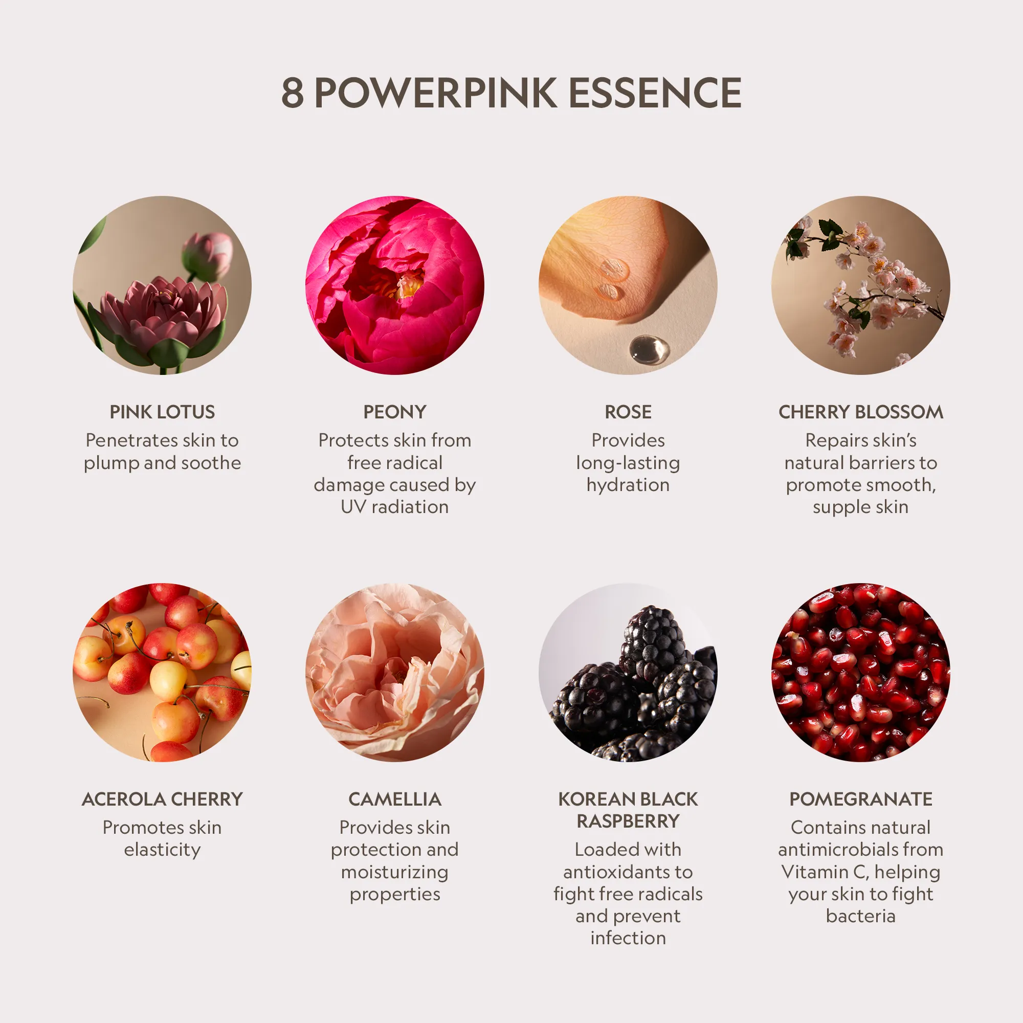 Pink Lotus Peptide Renewal Eye Cream