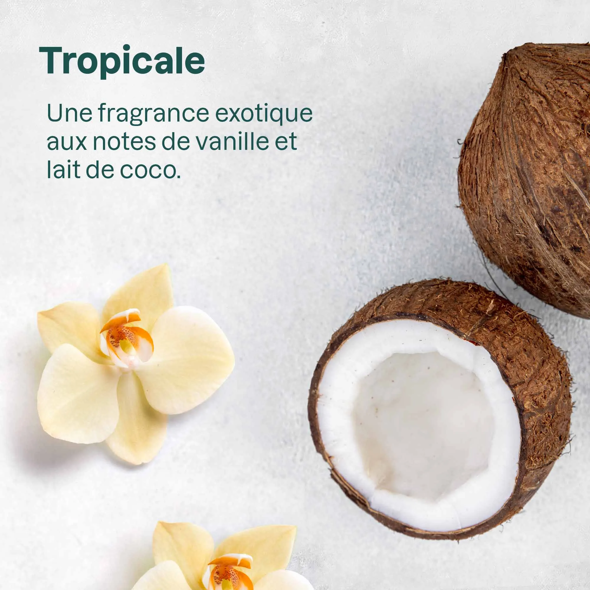Plastic-free mineral sunscreen stick SPF 30 : Sunly
