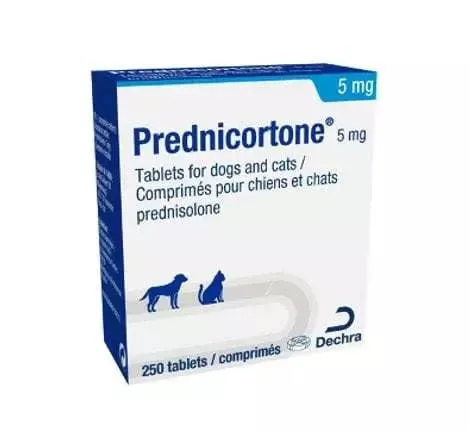 Prednicortone