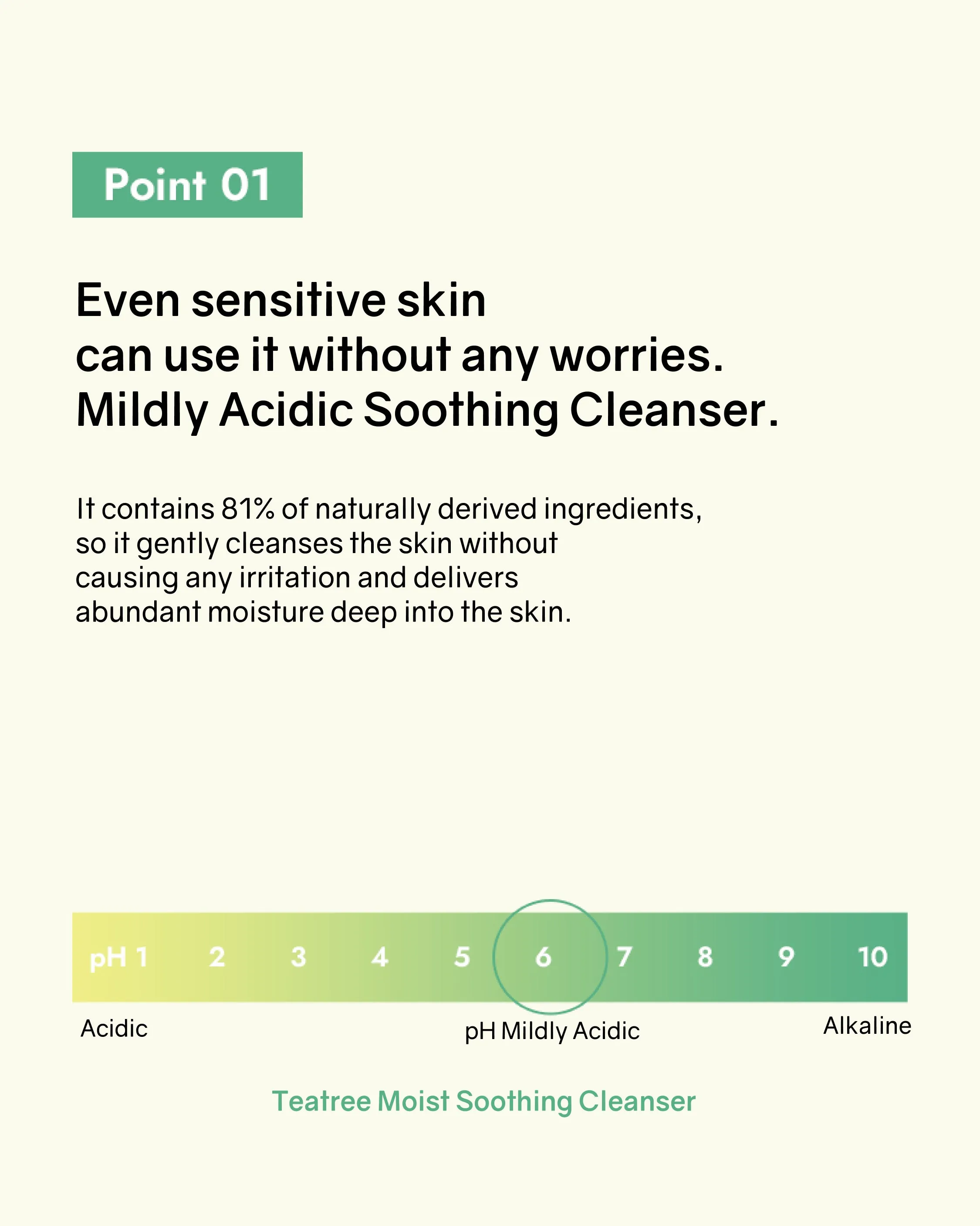 [PROMO] Bonabella Teatree Moist Soothing Cleanser