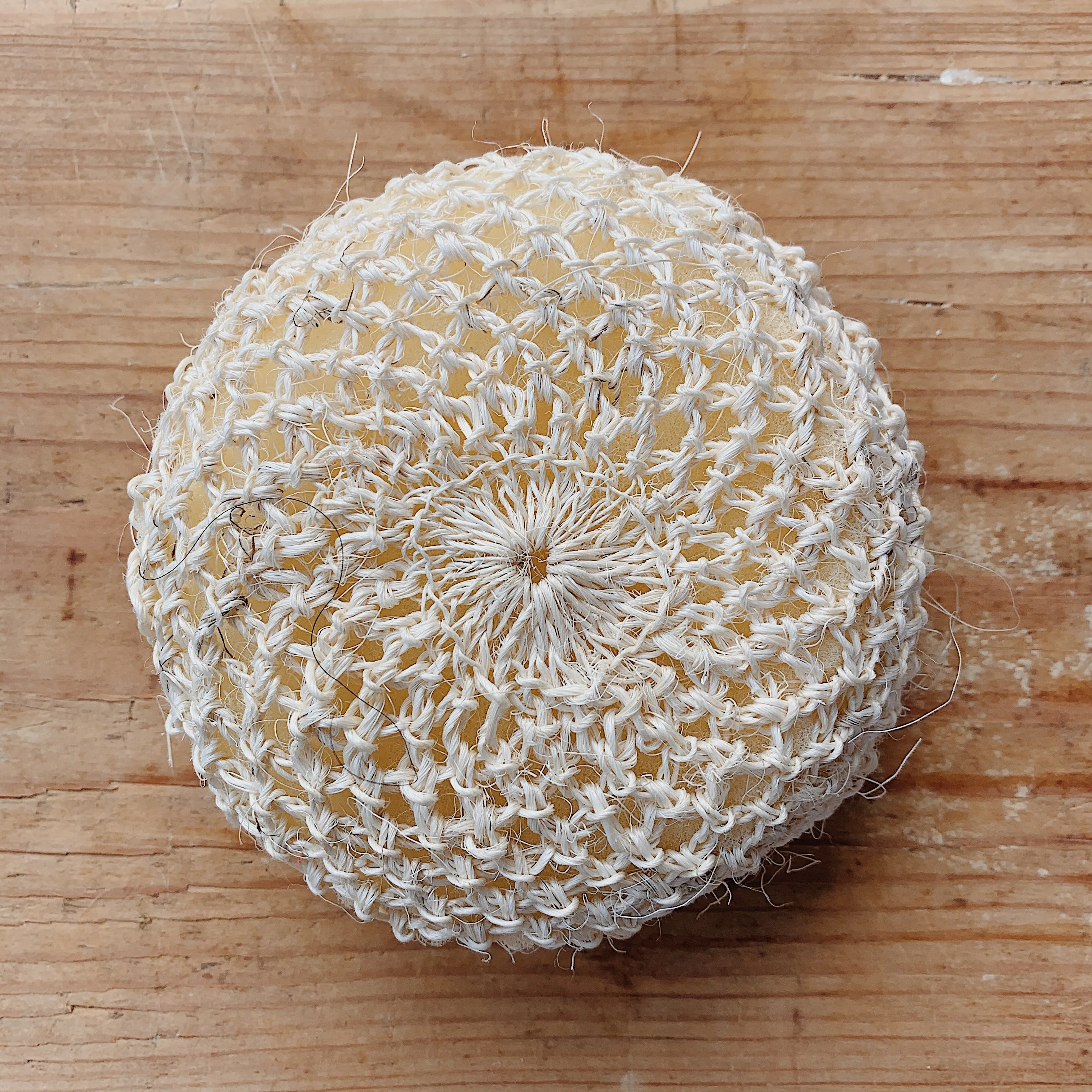 Round Sisal Sponge