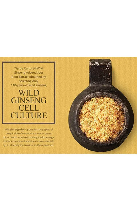 Sansim Wild Ginseng Snail Cream Set