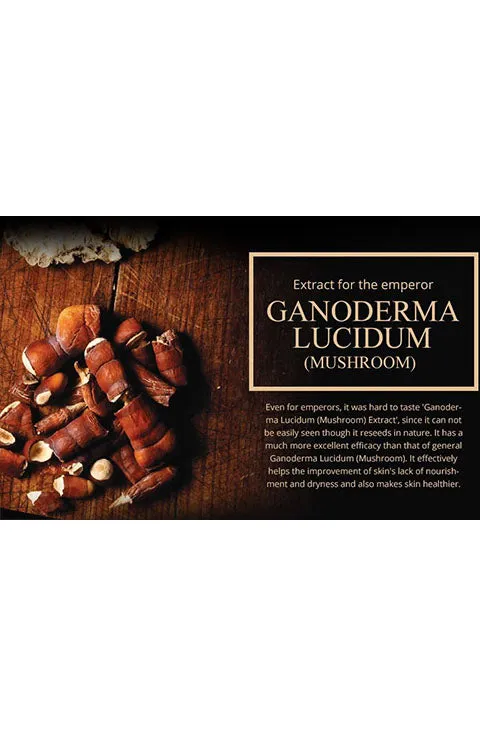 Sansim Wild Ginseng Snail Cream Set