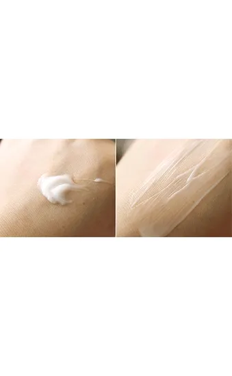 Sansim Wild Ginseng Snail Cream Set
