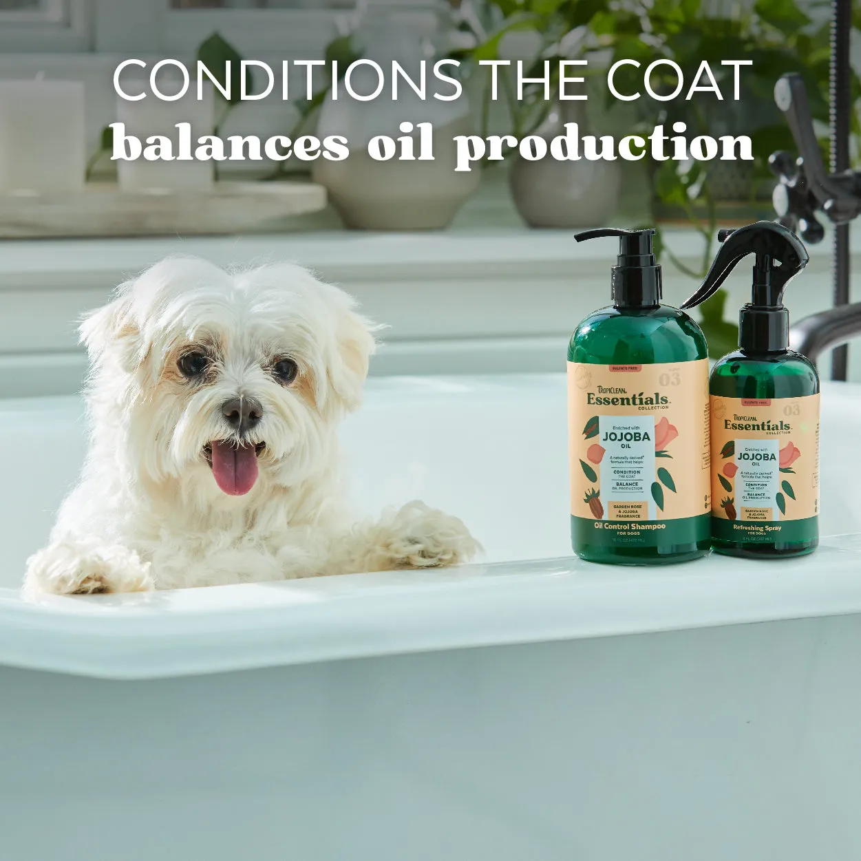 TropiClean Essentials Jojoba Oil Shampoo for Dogs 16 oz