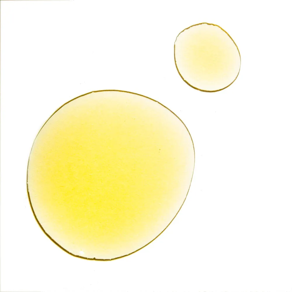 UMA Deeply Clarifying Discovery Kit