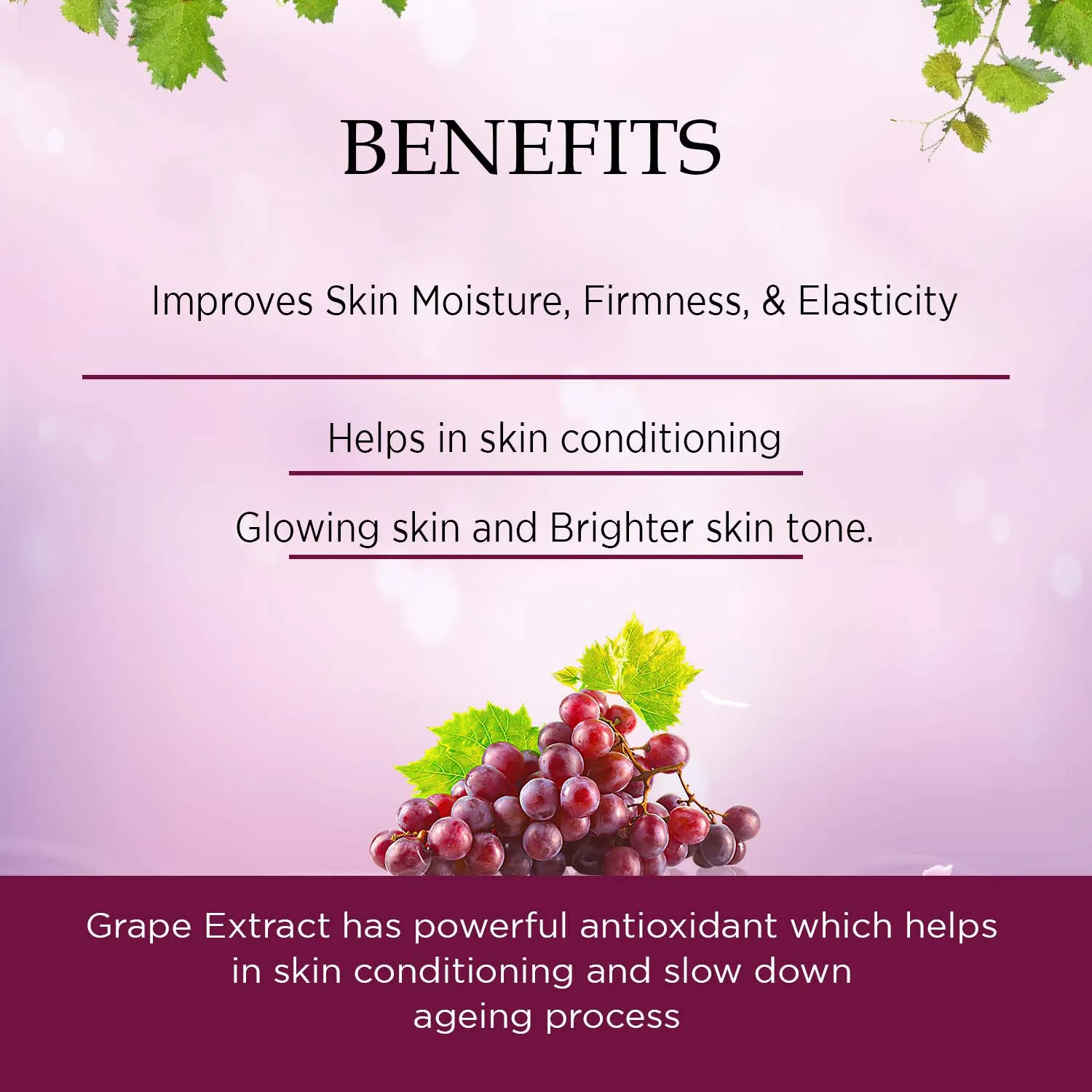 Wine Facial Kit | For Glow & Brighter skin tone(270ml)